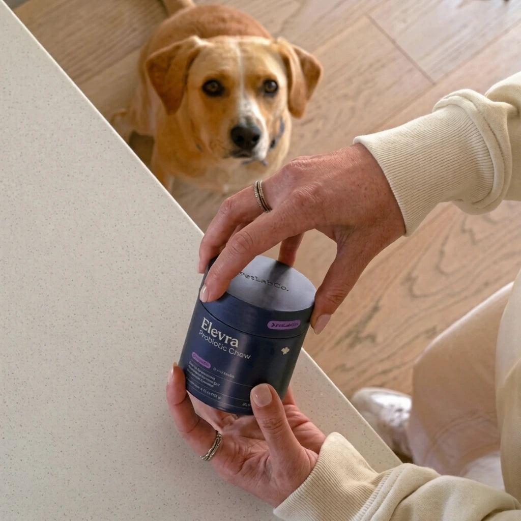 Snack Probiótico Perros