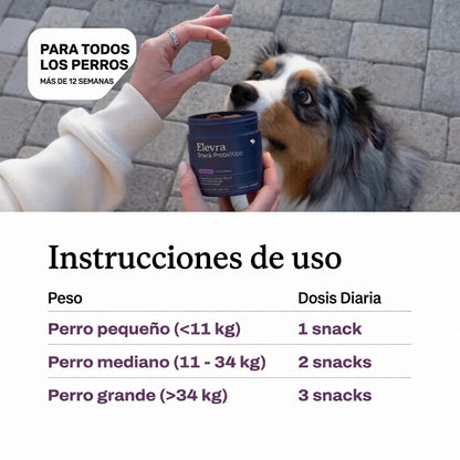 Snack Probiótico Perros