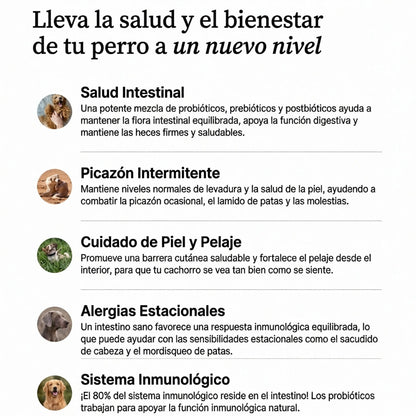 Snack Probiótico Perros